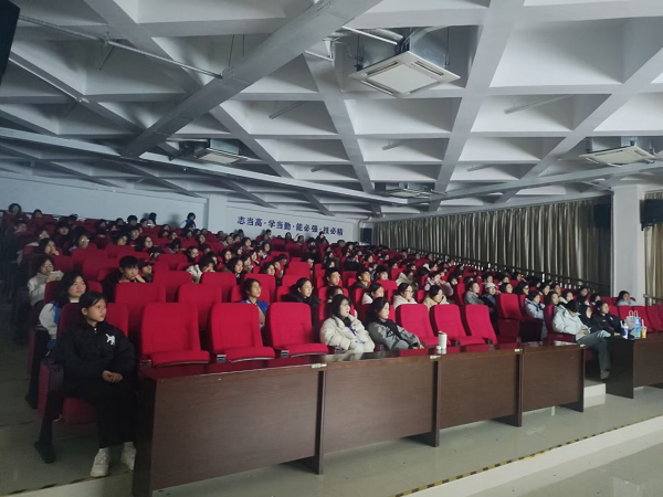 同学们认真观看影片