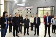 贵港市调研组到bb贝博考察交流