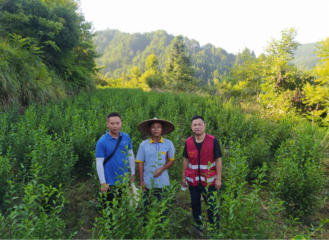 202203041147354088.png 202203041147354088.png