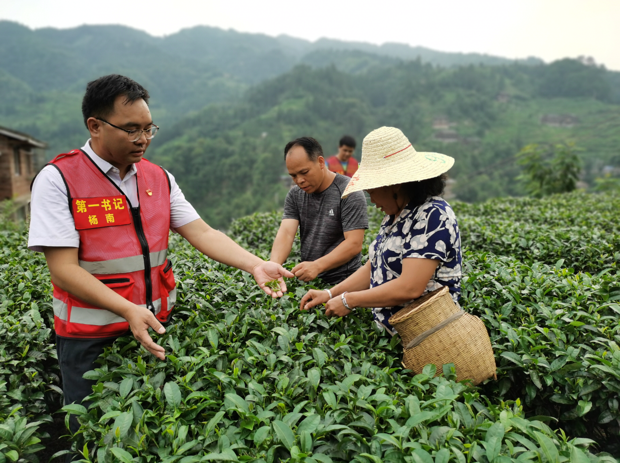 202203041126300425.png 202203041126300425.png