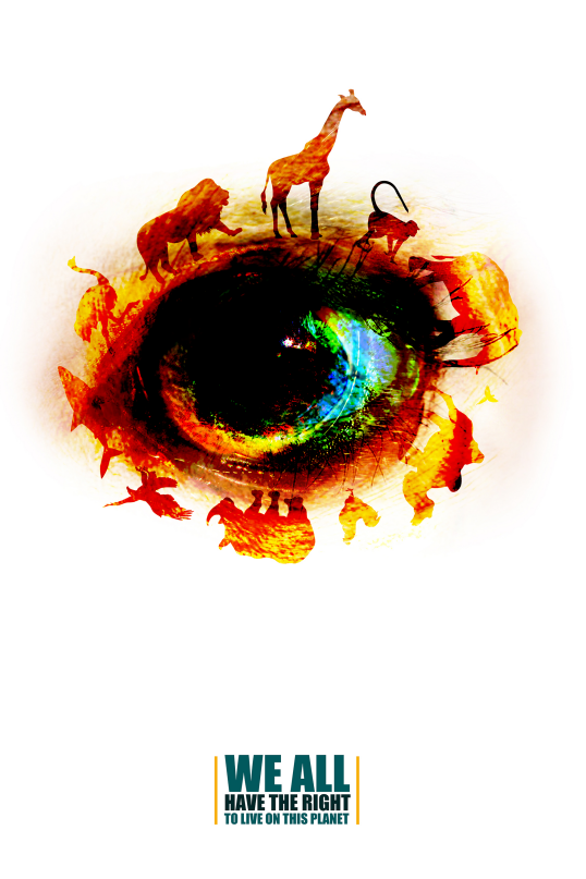 202203091727499050.png 202203091727499050.png