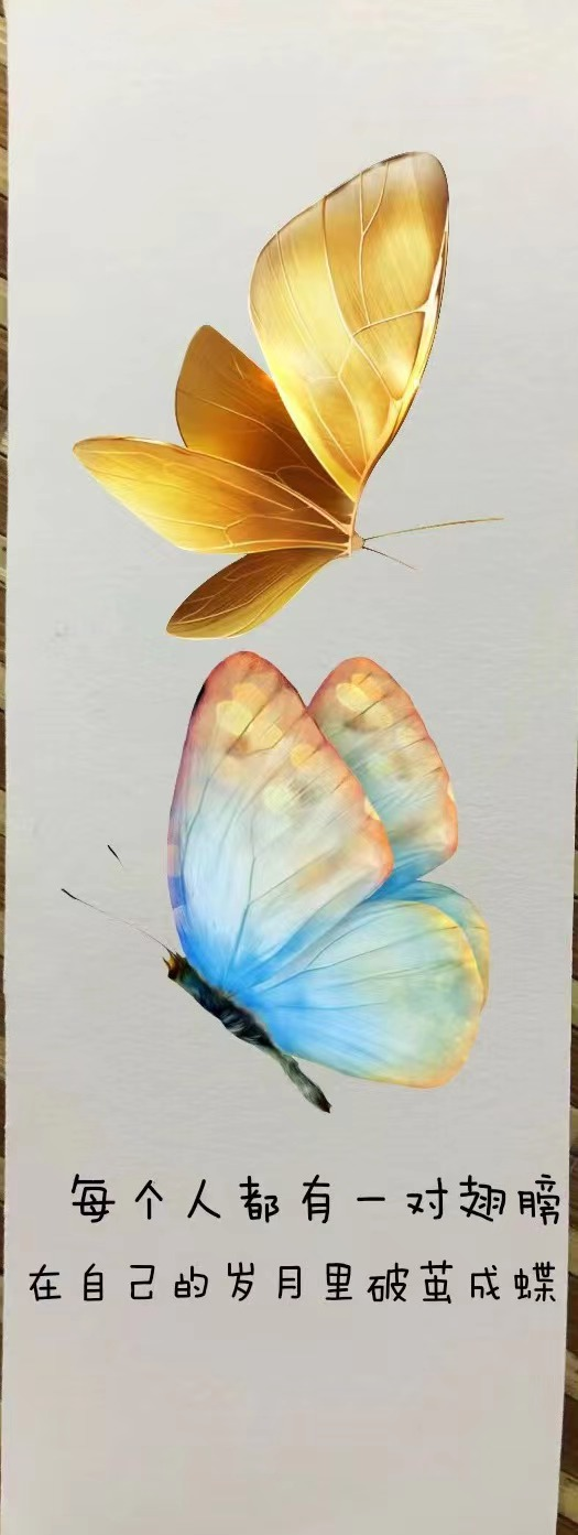 202212052140500306.png 202212052140500306.png