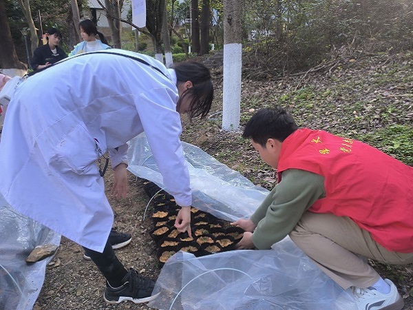 专业教师现场指导