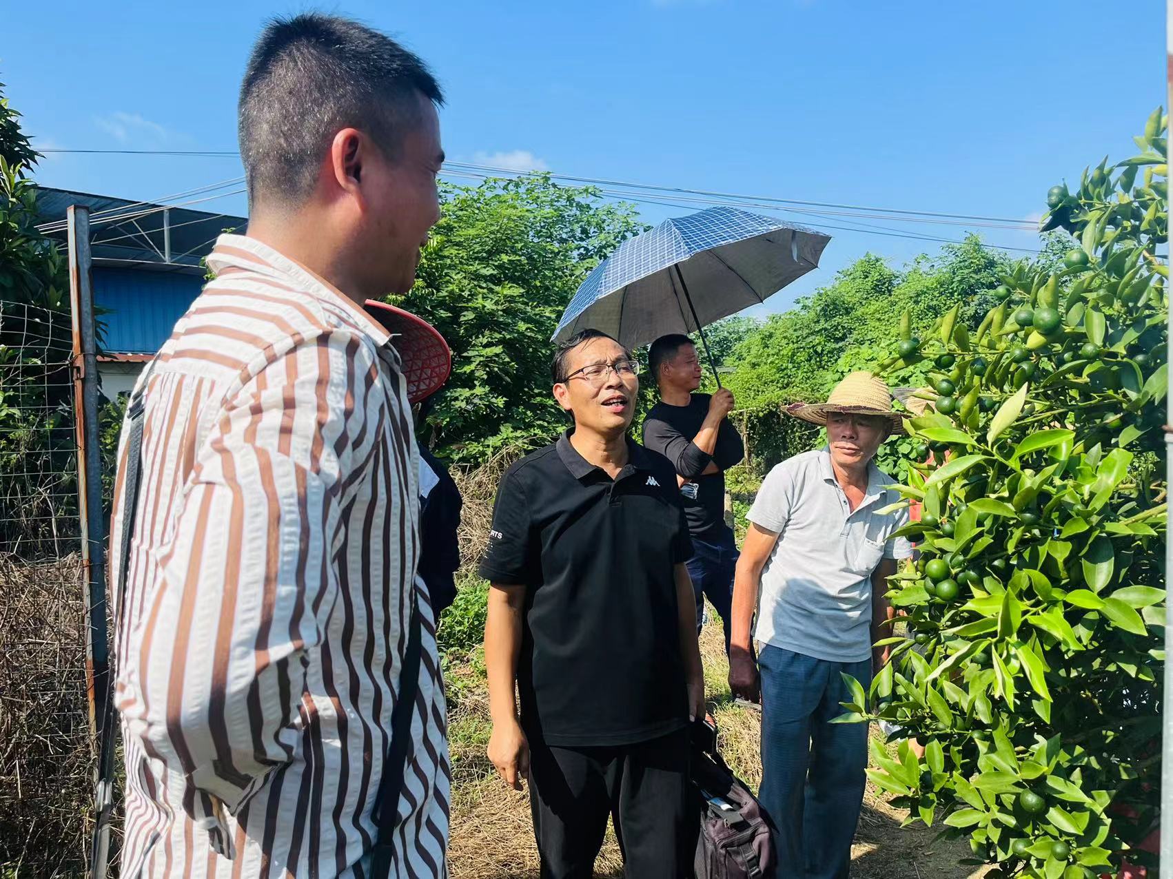 202408131220541531.jpg 202408131220541531.jpg