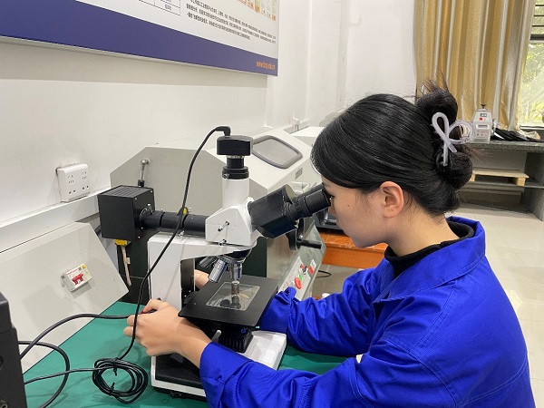 陈瑞曦观察金相微观组织